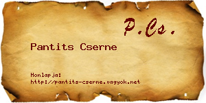 Pantits Cserne névjegykártya